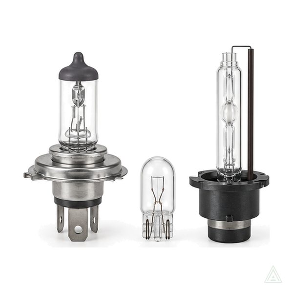 Bulbs